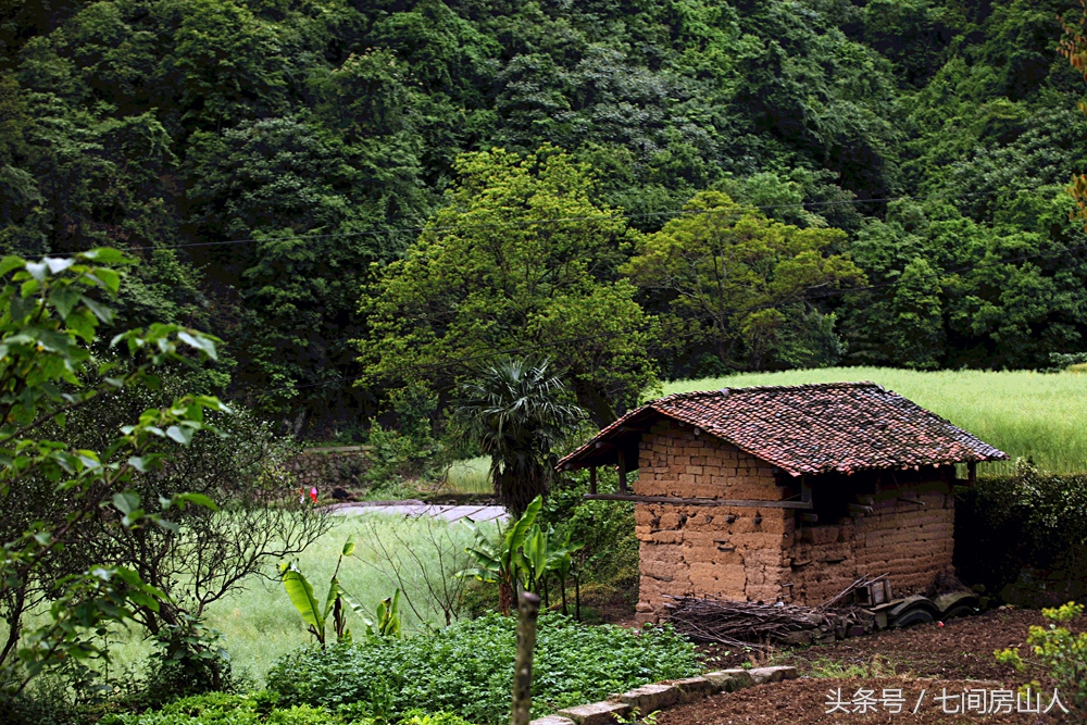 西陵峡山楂树之恋取景地,湖北宜昌山楂树之恋取景地