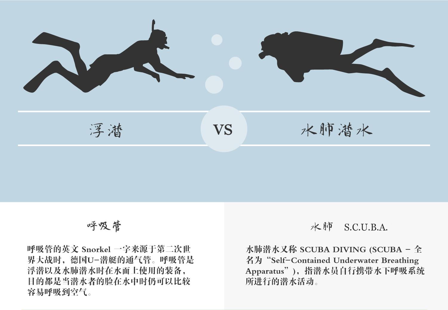 水肺潜水戴浮潜管,浮潜水肺潜水自由潜区别