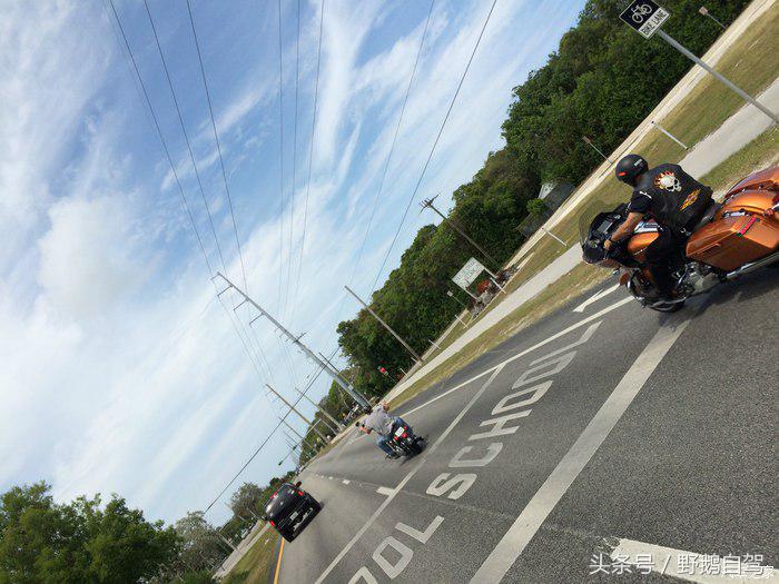 野鹅旅行,野鹅自驾无人区