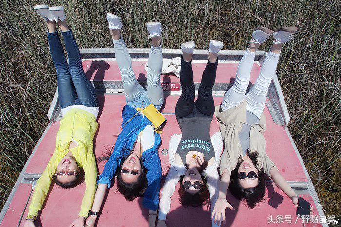 野鹅旅行,野鹅自驾无人区