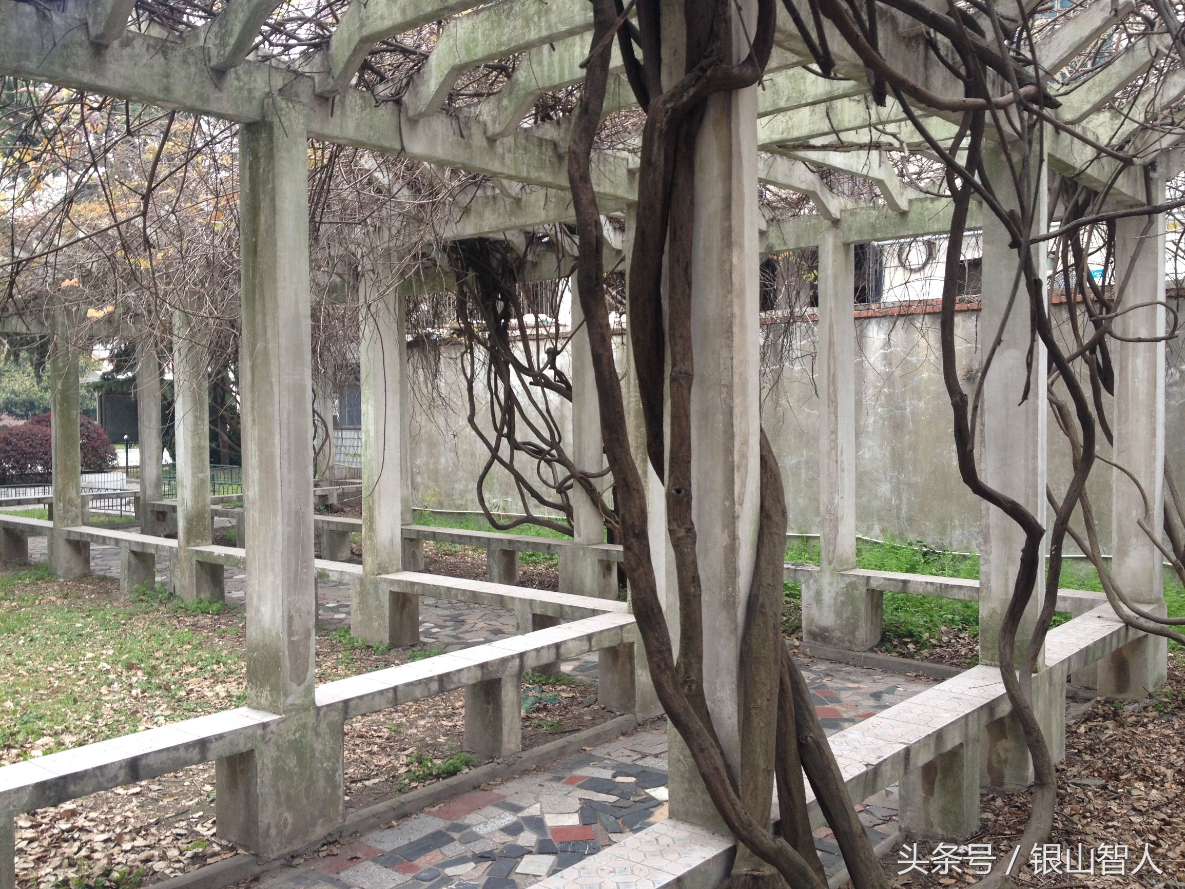 芜湖一中和无为中学哪个好,芜湖无为中学最好吗