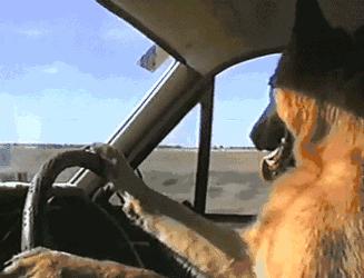 华生化妆品,华生小姐是什么意思