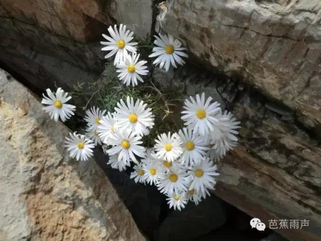 红晕初染看太行(徒步笔记19)——辉县薄壁流水沟穿越