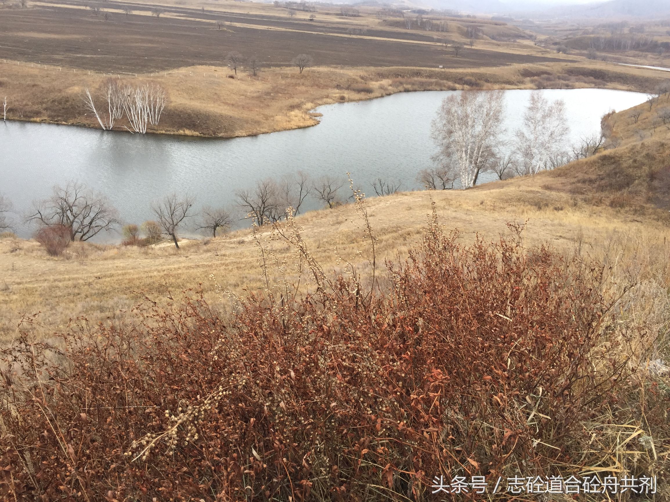 石灰石粉的强度,石灰石粉化验方法