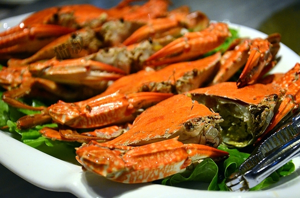 渔夫码头吃什么海鲜,渔夫码头吃海鲜视频