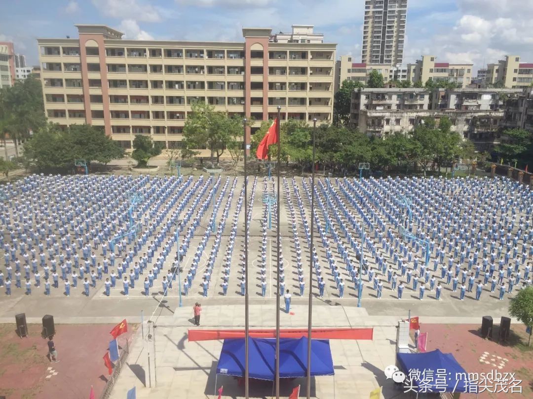 电白中学招生链接,2020年电白中学网上报名