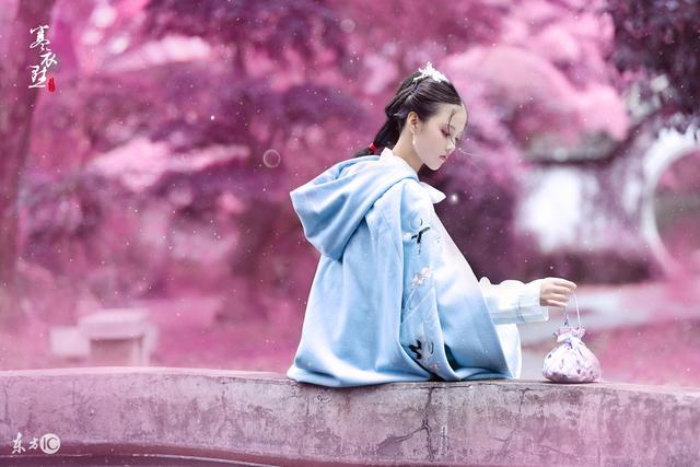 小说皇后被陷害,皇后被贵妃害死的小说