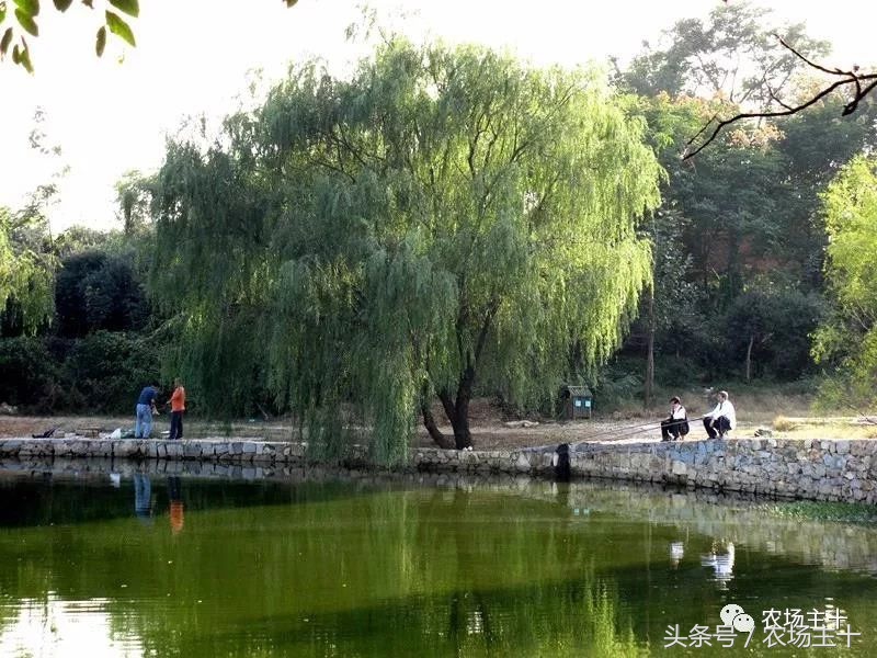 成功的休闲农庄需要具备哪些条件,做休闲农庄必须考虑的几个问题