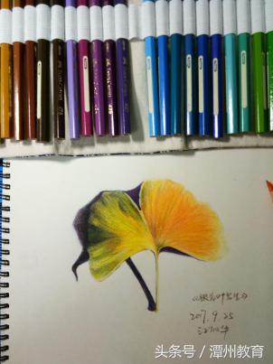 潭州教育彩铅画免费课程,潭州教育手绘教程