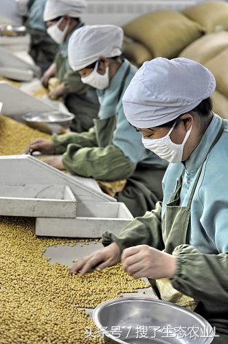 2022创业项目推荐适合创业的项目,农村实体店创业好项目大全