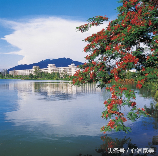 求助心理咨询视频,心理求助咨询什么电话