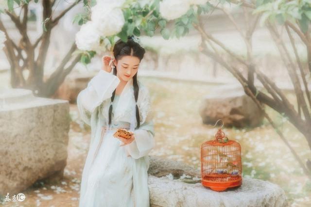 小说：她一朝穿越成了女尊国皇太女，不错不错，有权有势