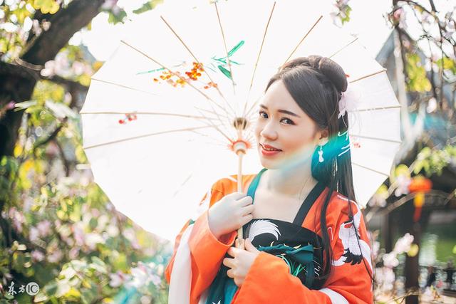 穿越小说女主变成凤凰,穿越成拥有凤凰血脉的女孩小说