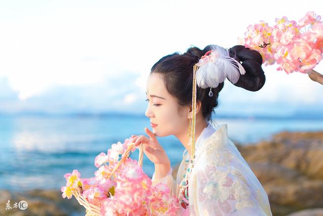 凤王打不过洛奇亚,凤王被谁打败过