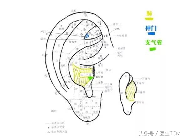 专家讲座治咳嗽的方法,专家治小儿咳嗽小妙招