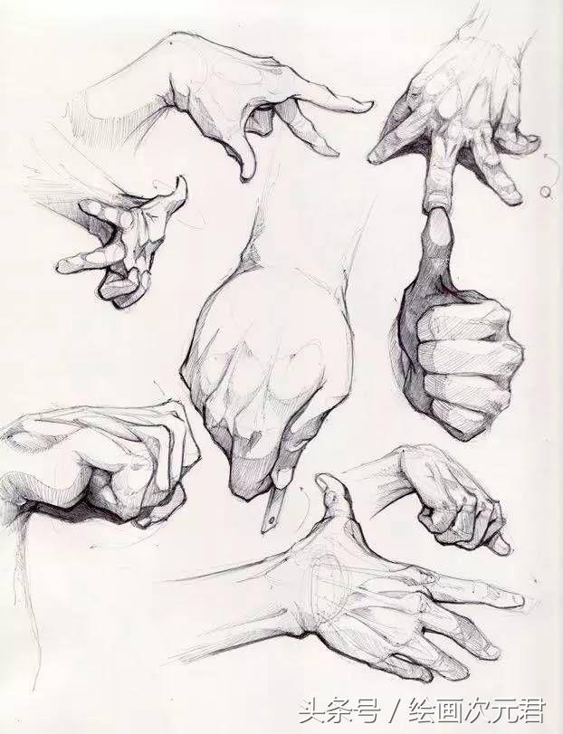 画好的人体结构画法,人体结构与动态基础教程