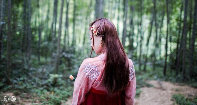 小说：摄政王套路小狐狸：嫁给本王怎么样？