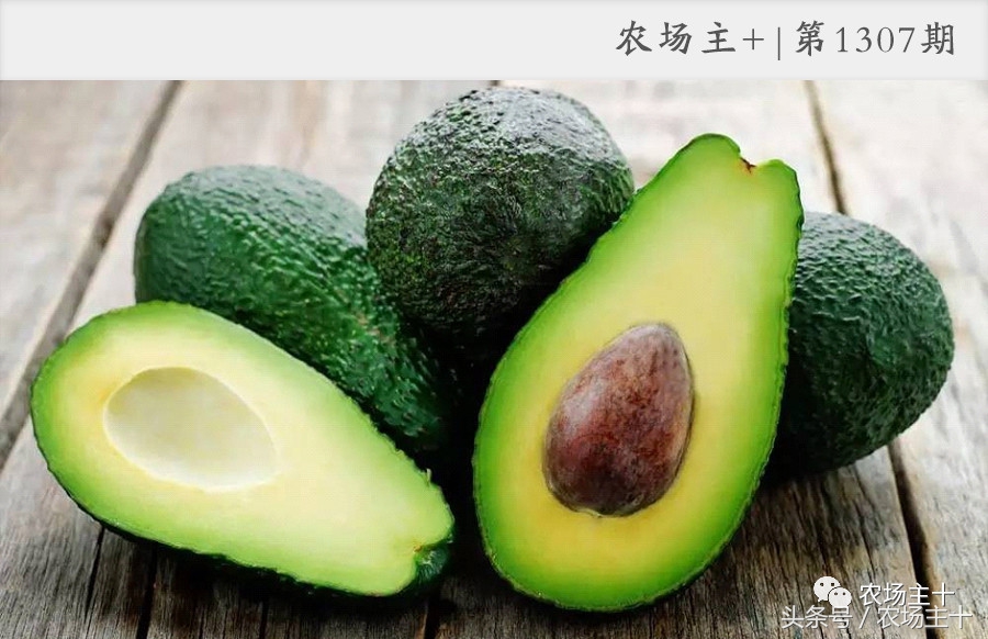 牛油果是如何风靡全球的,牛油果是怎样炒作起来的