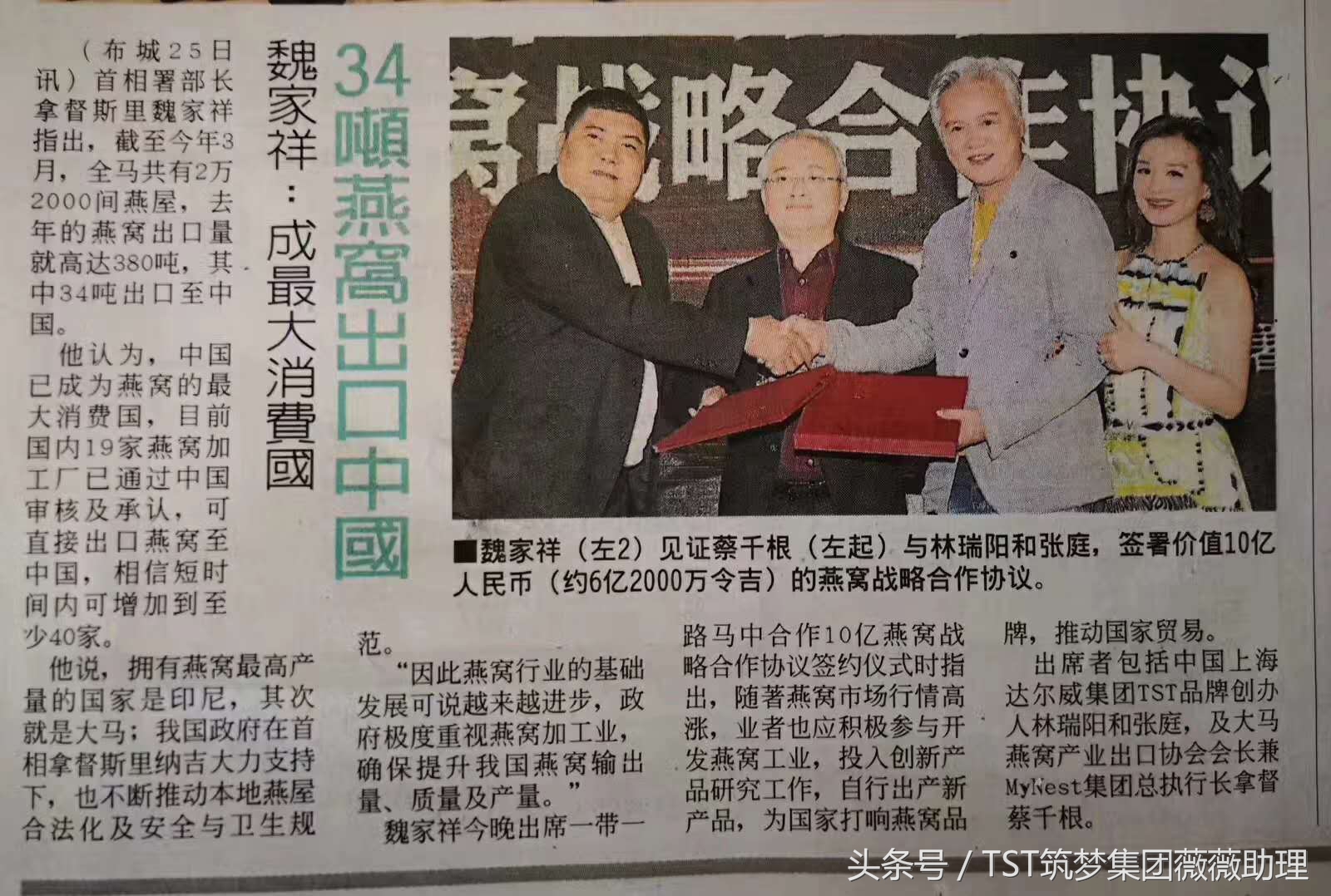 tst庭秘密机制,tst庭秘密正品官方商城旗舰店