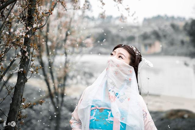 小说：她清穿成了乾隆的生母，王爷为她儿子肃清眼线，她震惊了