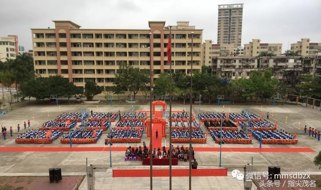 电白中学招生链接,2020年电白中学网上报名