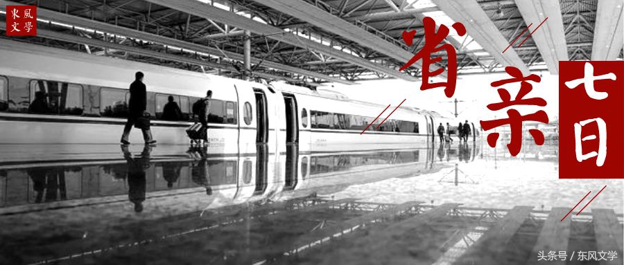 【东风文学】第274期柳岸闻莺︱冯玲散文:省亲记