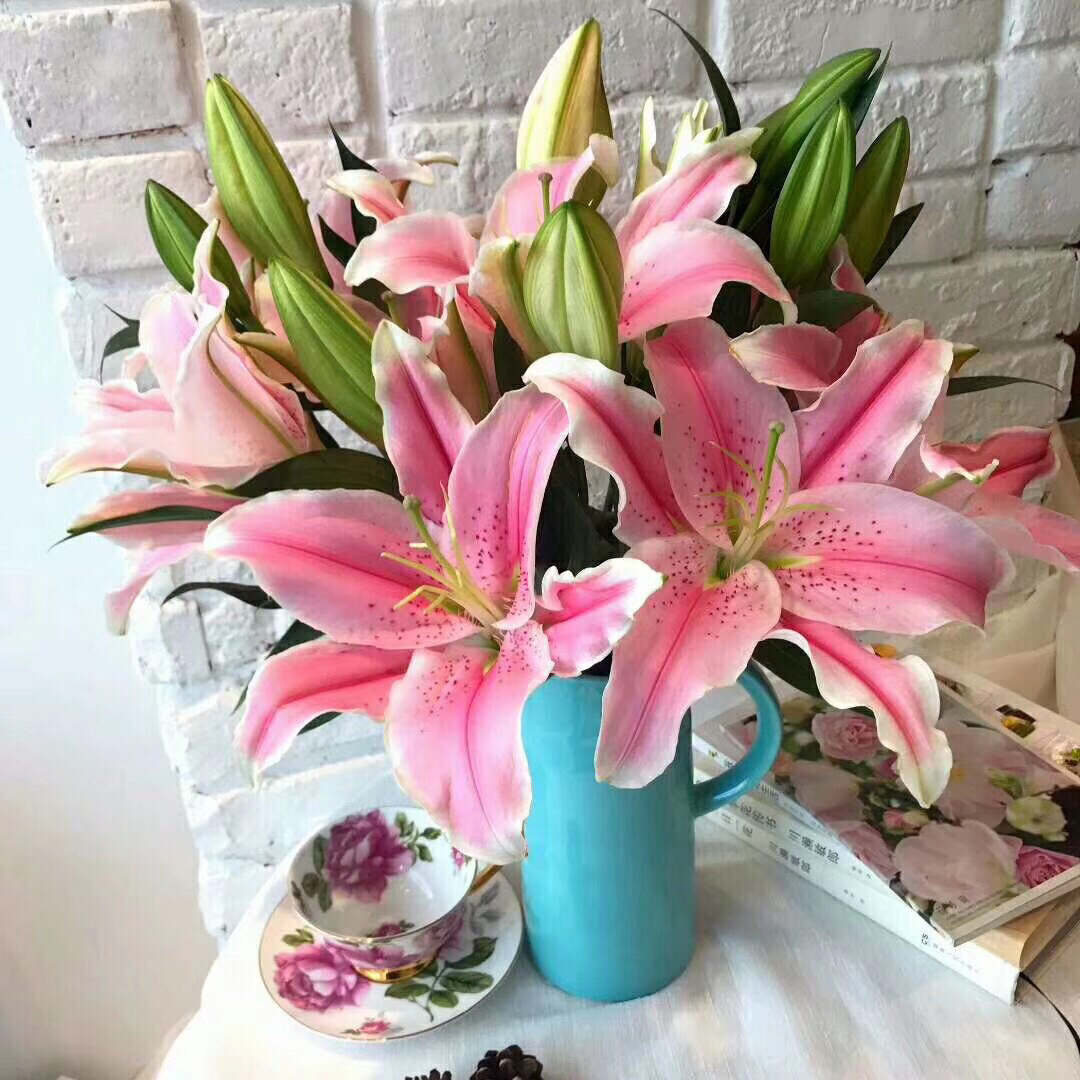 屋里烟味大养什么植物,家里最忌讳养的植物