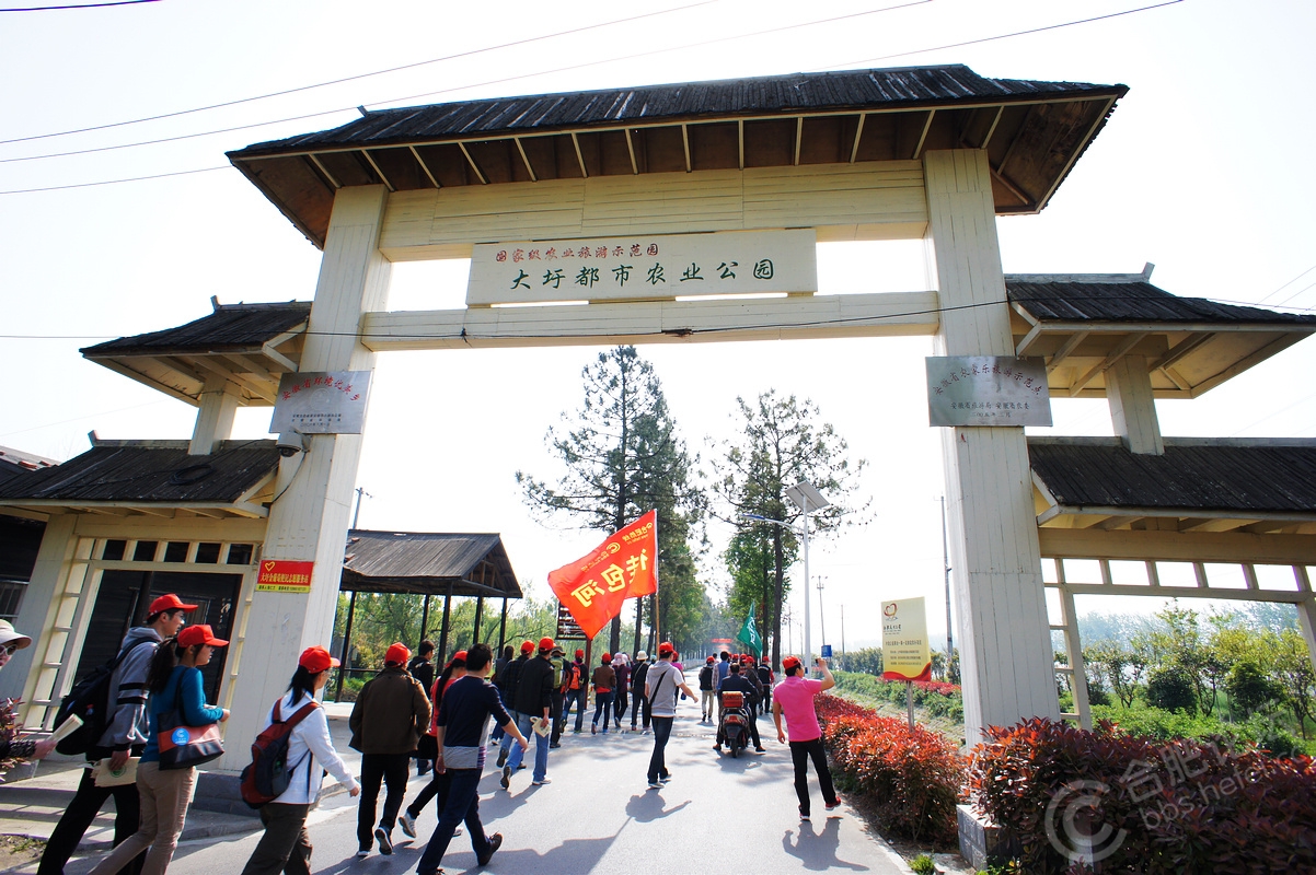 合肥市包河区东大圩土著的八十年人生档案（上）