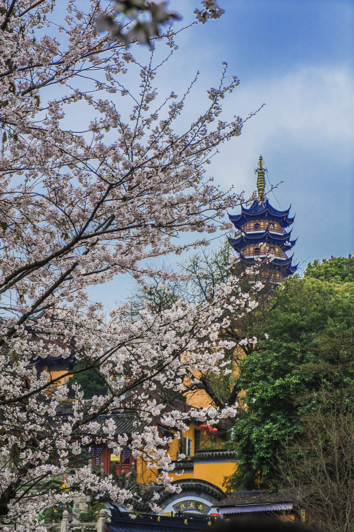 南京两日游攻略门票预约,南京两日游攻略带孩子最佳路线