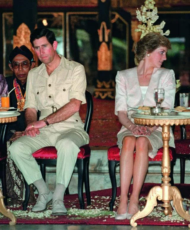 戴安娜与多迪的关系,多迪和戴安娜