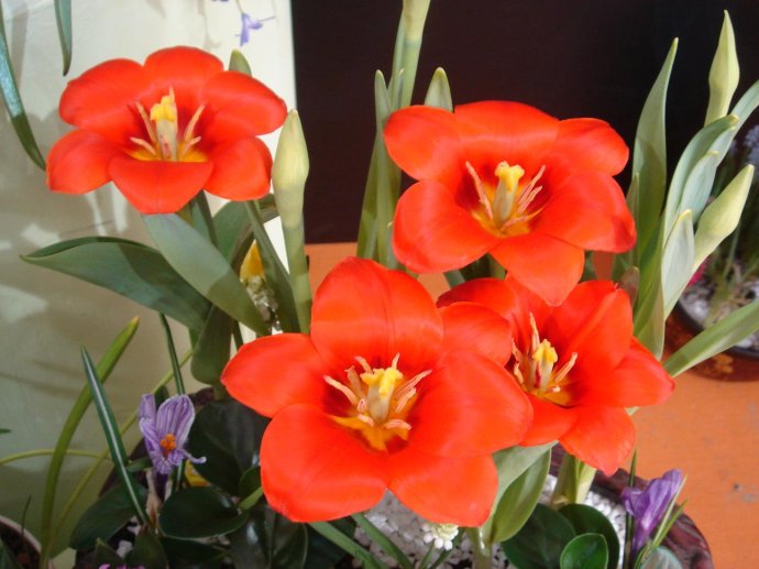 致自己的人生感悟句句都是忠告,致自己的人生感悟语录短句