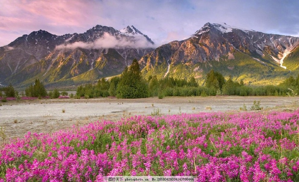 副业创业小项目收益分析报告,自媒体写文章怎么盈利的