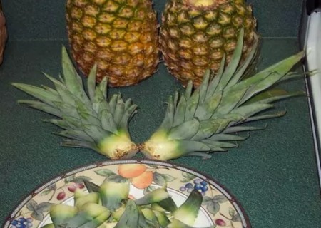 吃水果把核吞进去了,吃完芒果把核扔花盆里