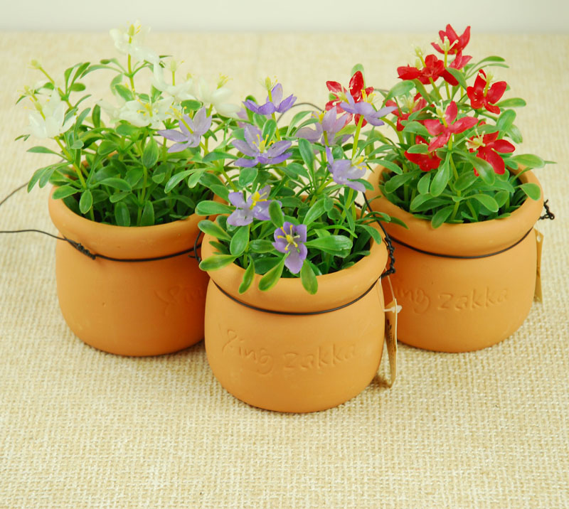 养花土的虫子怎么消灭最好,养花去除小虫子的妙招