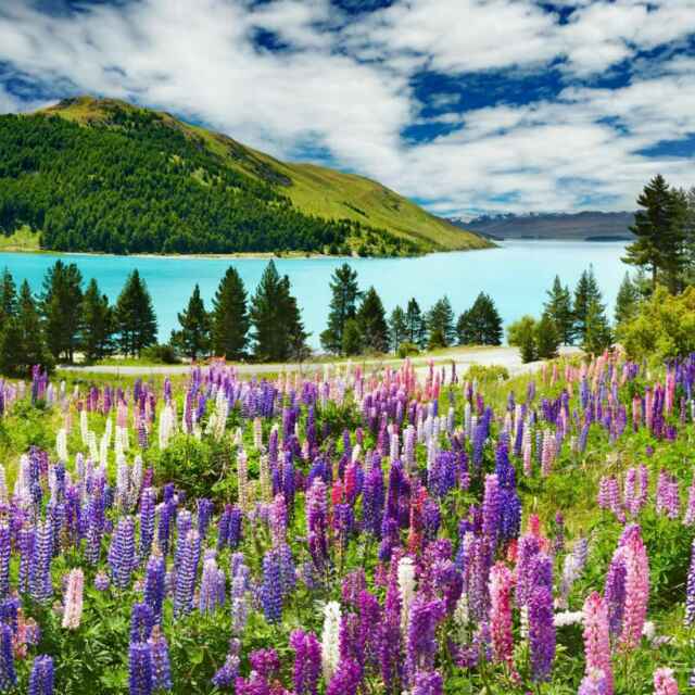 邻居姐姐，善良的你去了天堂，一定会很美好