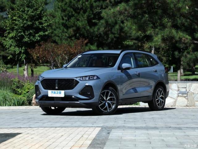 2022年国内各品牌销量,中国这两年崛起的品牌