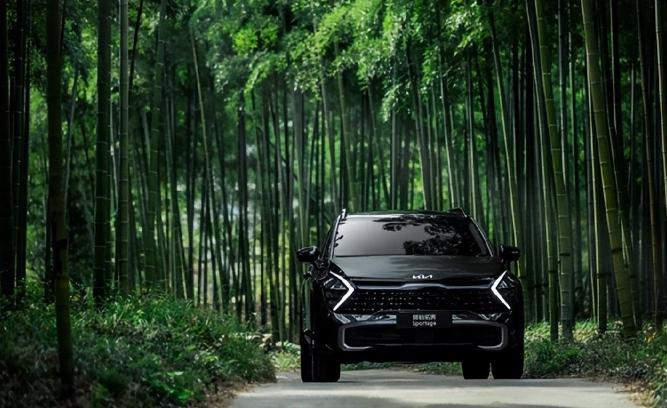 2021韩系起亚销量,现代起亚有望2023年反超大众