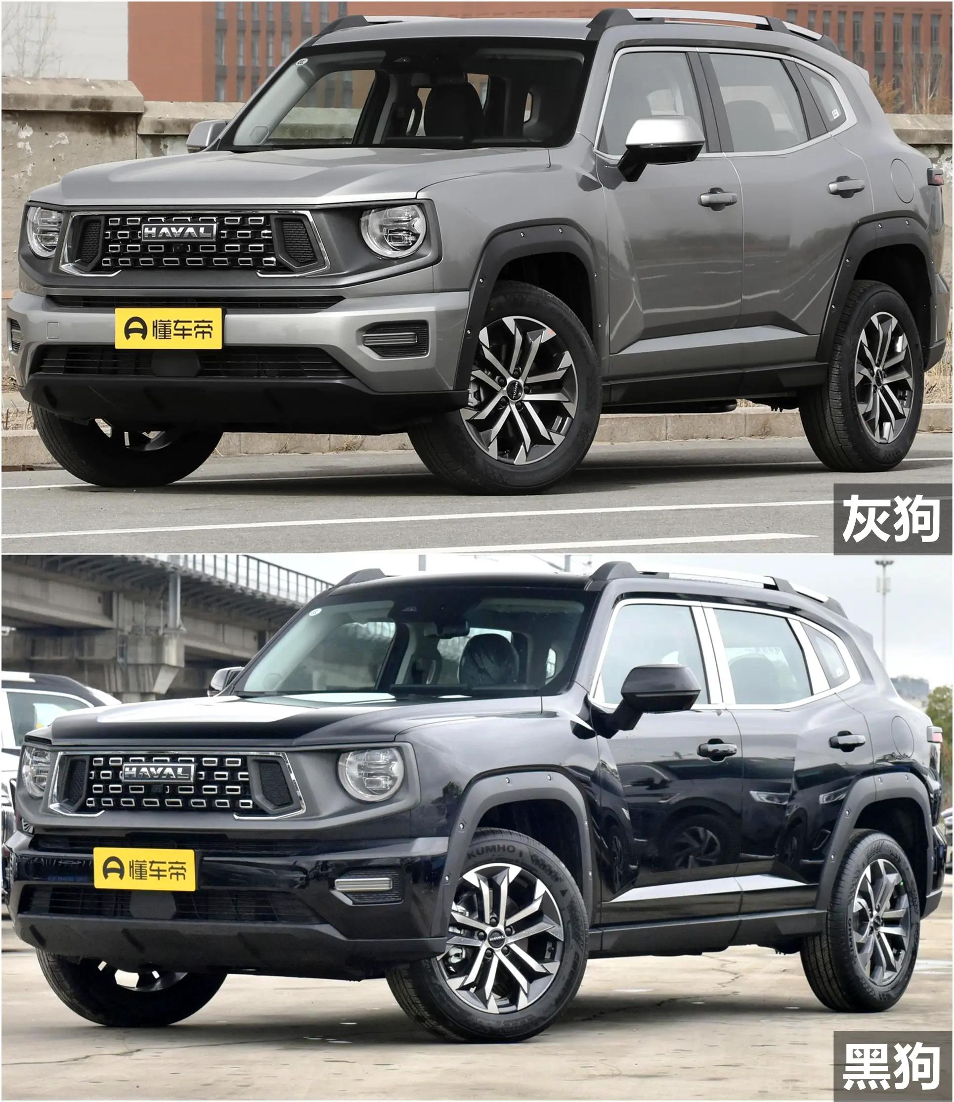 哈弗大狗2024燃油版,哈弗二代大狗燃油版新车上市会