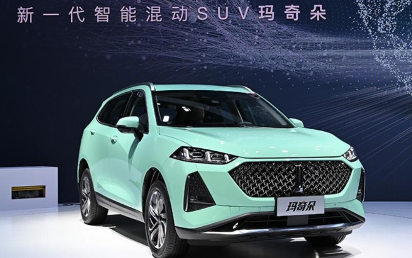 玛奇朵1.5燃油版油耗,玛奇朵混动suv价格