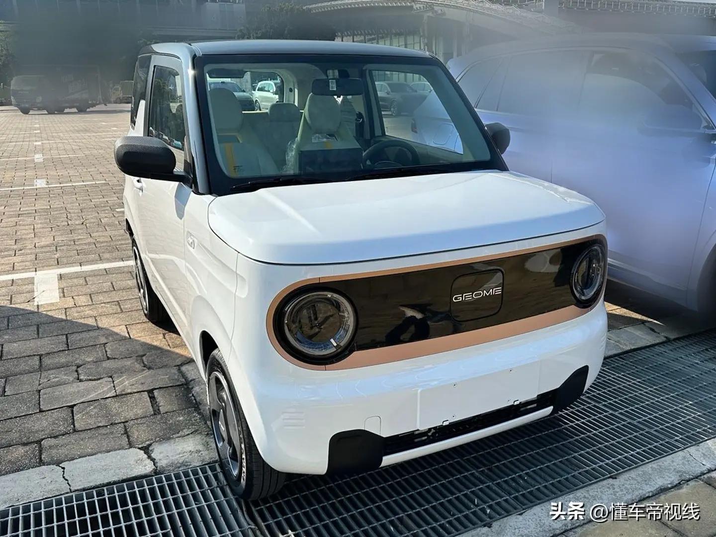 吉利熊猫mini电动车价格,吉利熊猫mini落地价格