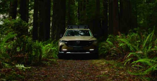 cx-50混动版到店,cx50领行版广州