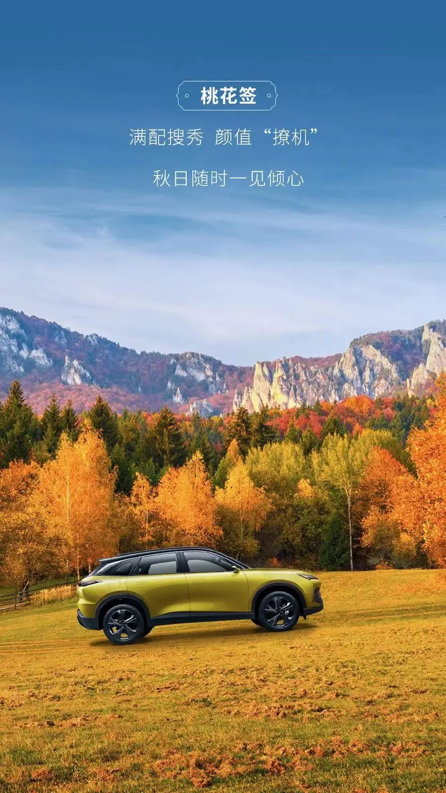 快来领你的壁纸,秋日壁纸