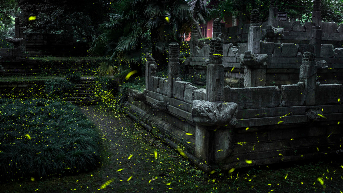 小说：女同学把日记本塞给我，跑了，我翻看她的日记，看出三角恋