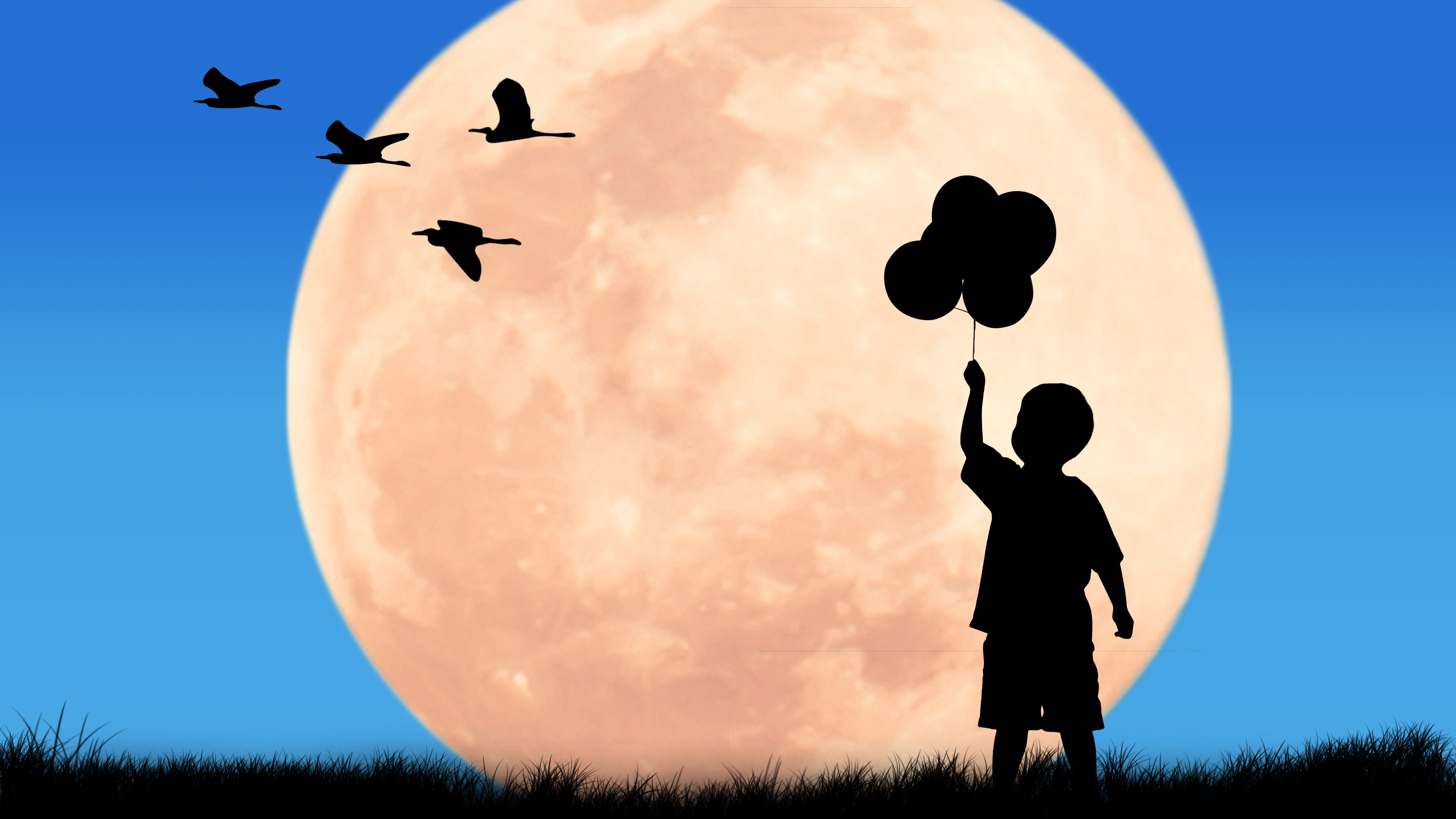 小说：这就是关东第一强投的实力吗