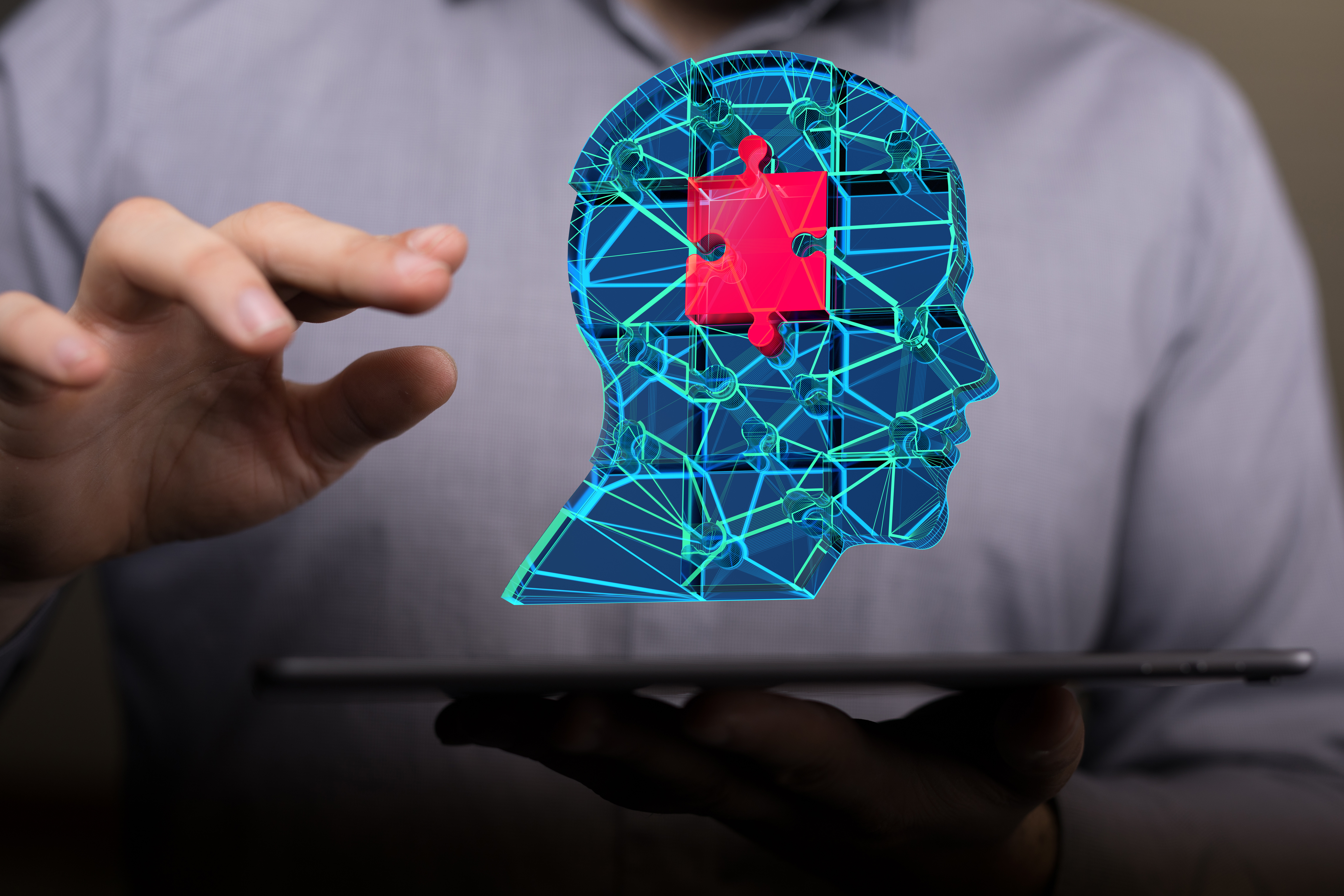 每个人的心理,我们心里的大象和骑象人