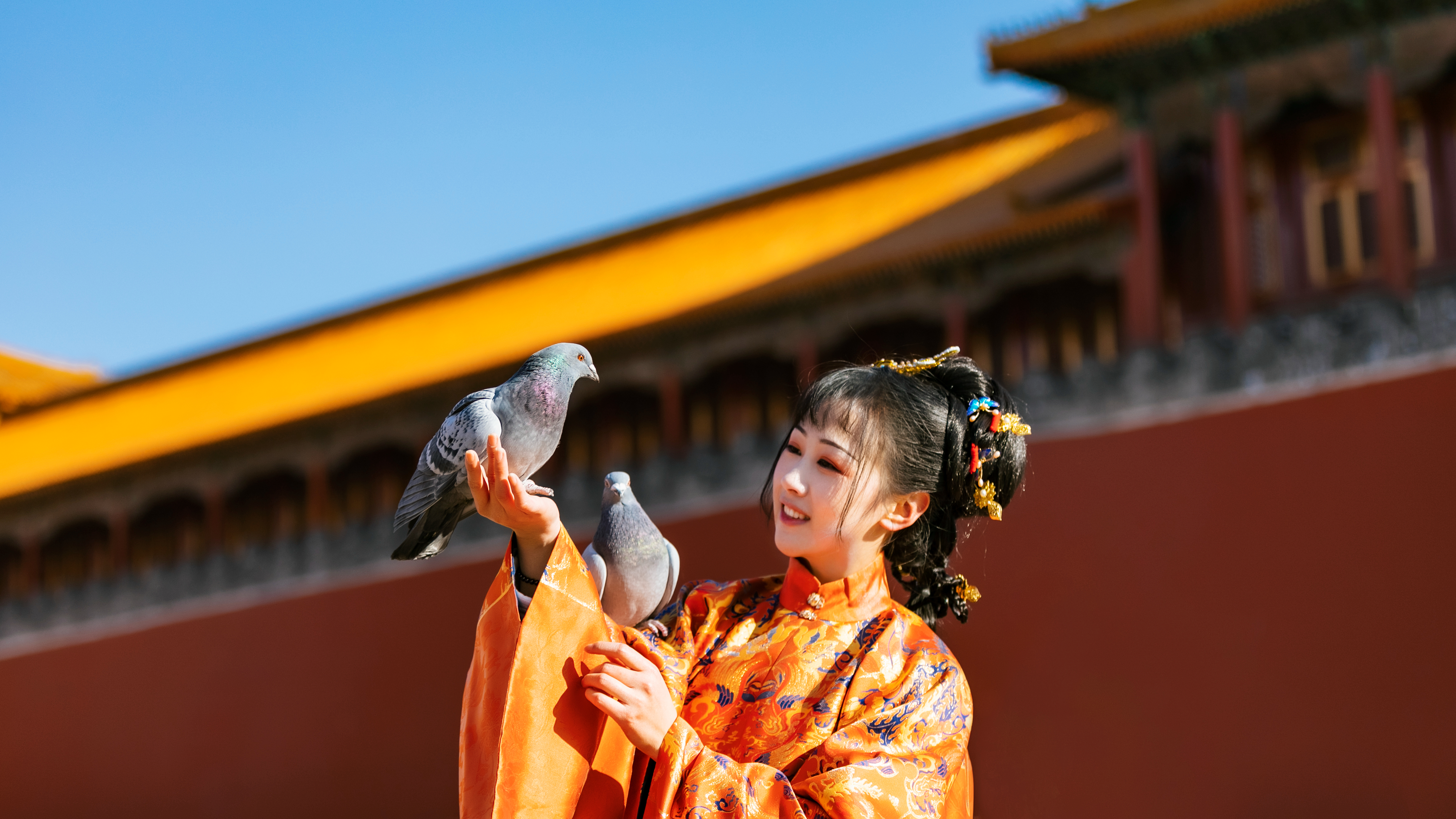 她带着学识穿越古代小说,古代女穿越到现代的小说免费