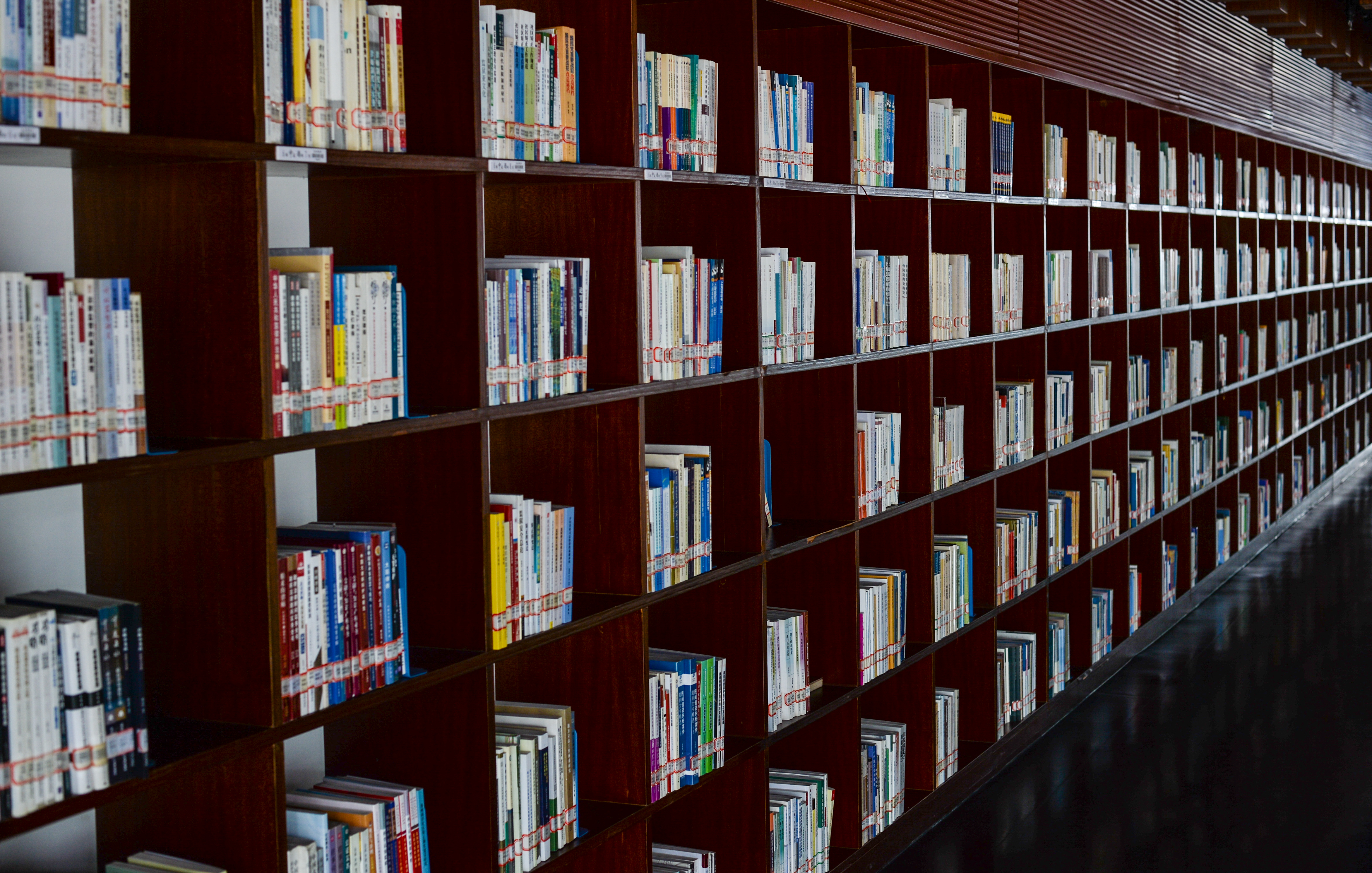 中华人民共和国商法包括哪些内容,中华人民共和国商法法条全文