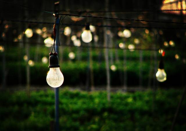 再见了相互嫌弃的老同学,再见了大别山原唱简谱