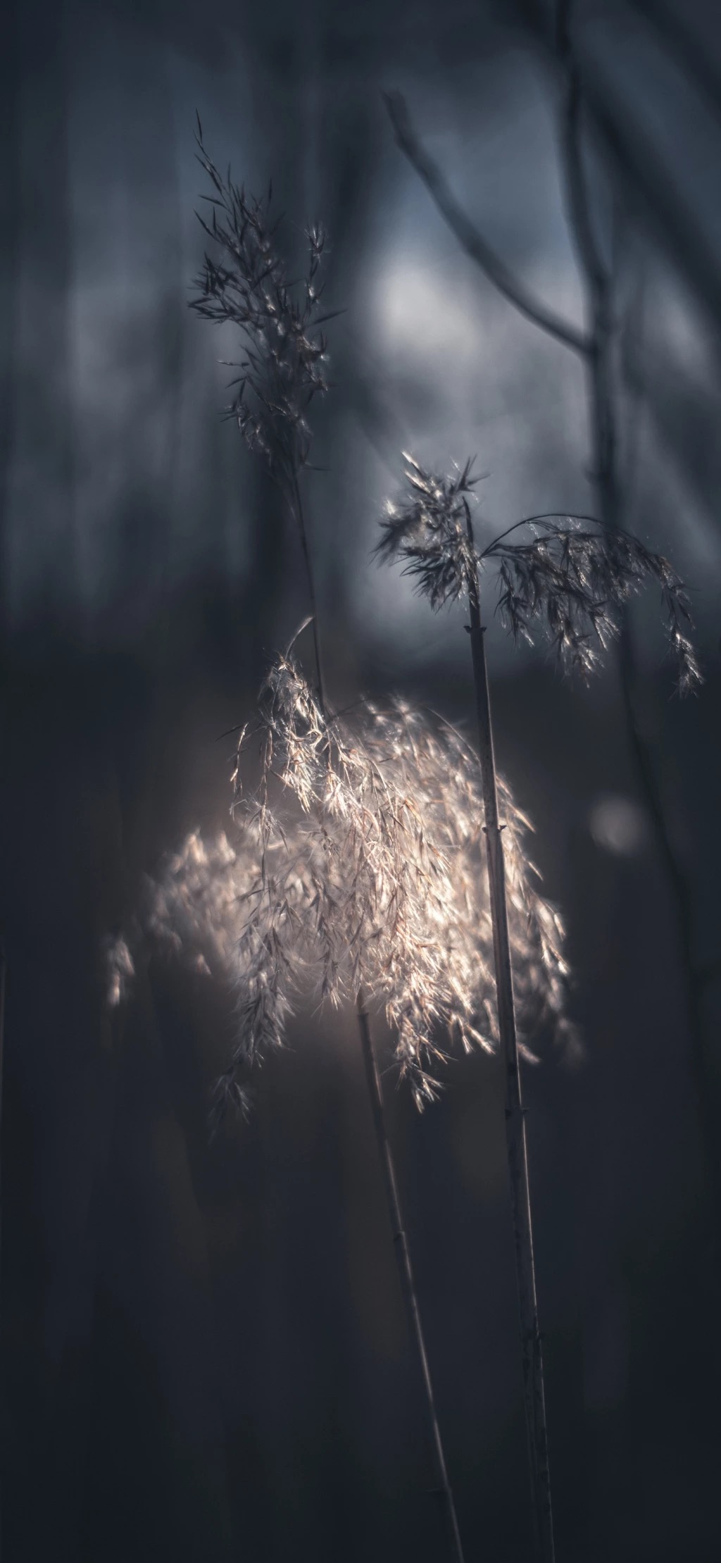 自制壁纸推荐图,自制壁纸1张