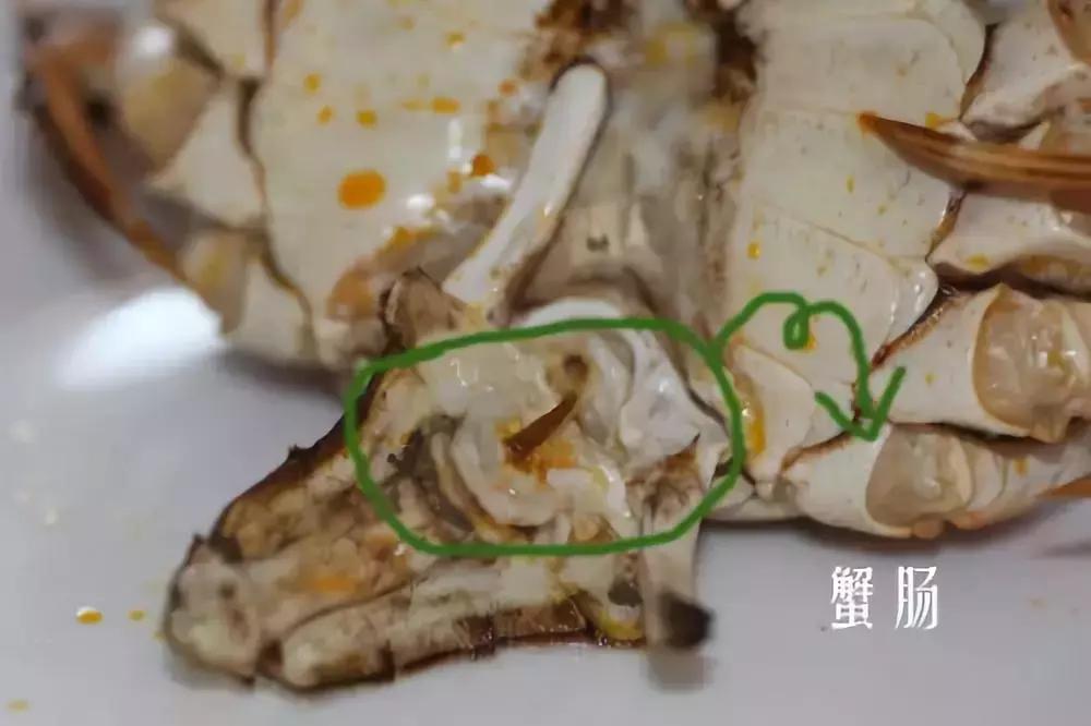 人人都能看懂的威海海鲜攻略,威海海鲜什么时候最好吃